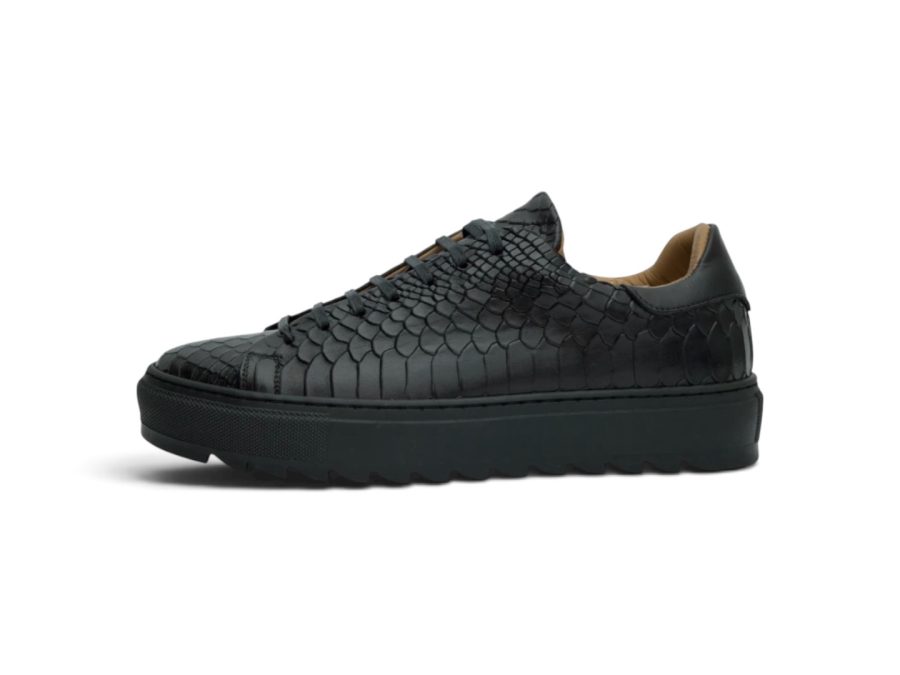 Low Sneakers Black Shark Sole